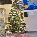 Świąteczny Czarniecki